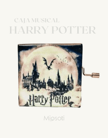 HARRY POTTER ARTISTIC - MIOSOTI SILVESTRE