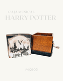 HARRY POTTER ARTISTIC - MIOSOTI SILVESTRE