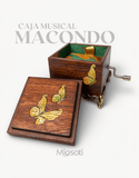 MACONDO - MIOSOTI SILVESTRE