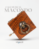 MACONDO - MIOSOTI SILVESTRE